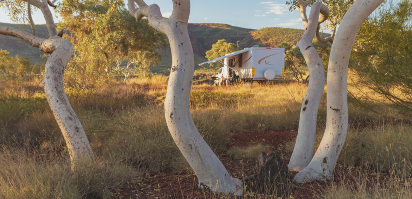 Caravan amongst trees in the Australian outback