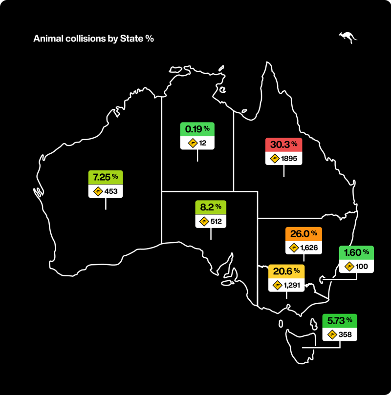 Animal collisions by state