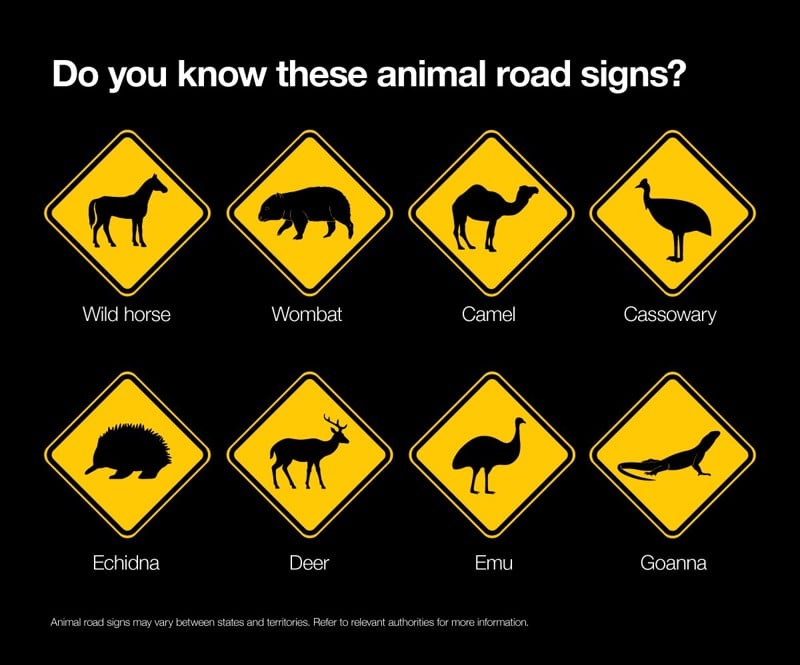 Animal road signs