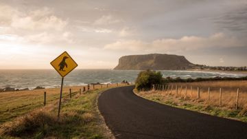 A road overlooking The Nut in Tasmania.