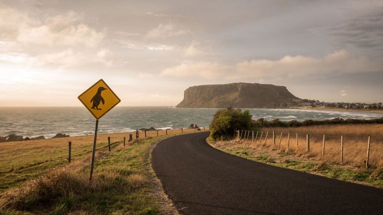 A road overlooking The Nut in Tasmania.